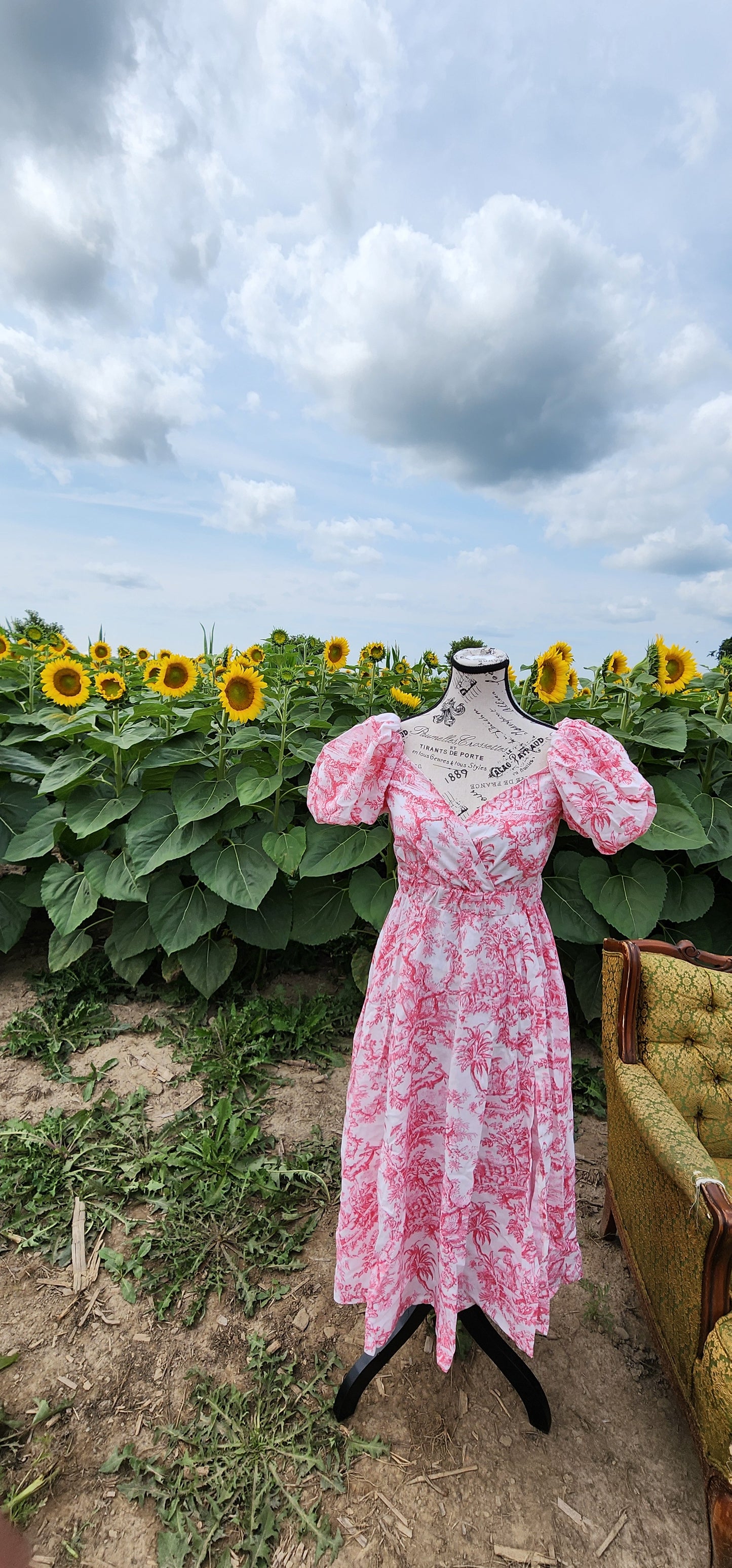 x. Handsewn Scarlet Dress - Toile & Geometric Prints