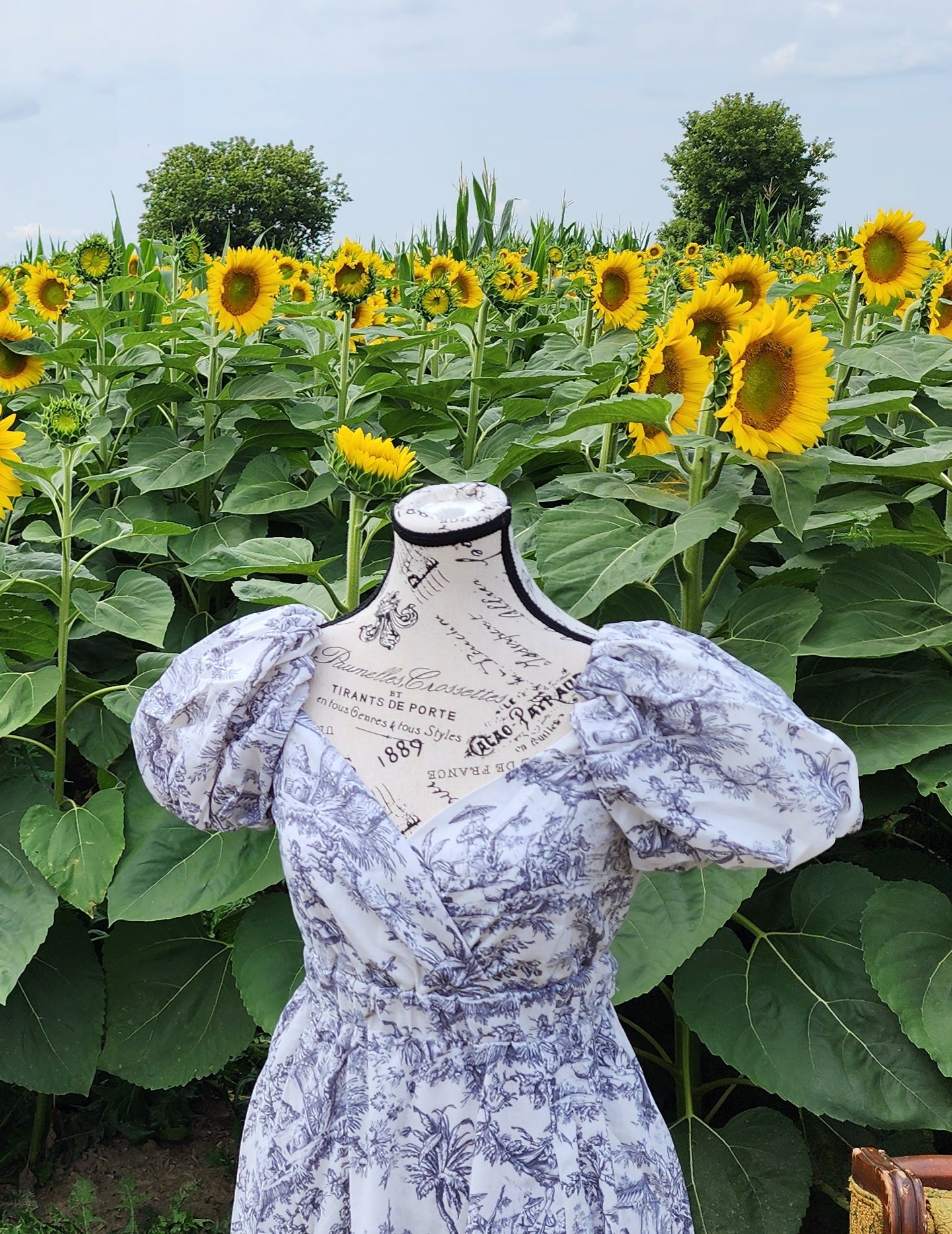 x. Handsewn Scarlet Dress - Toile & Geometric Prints