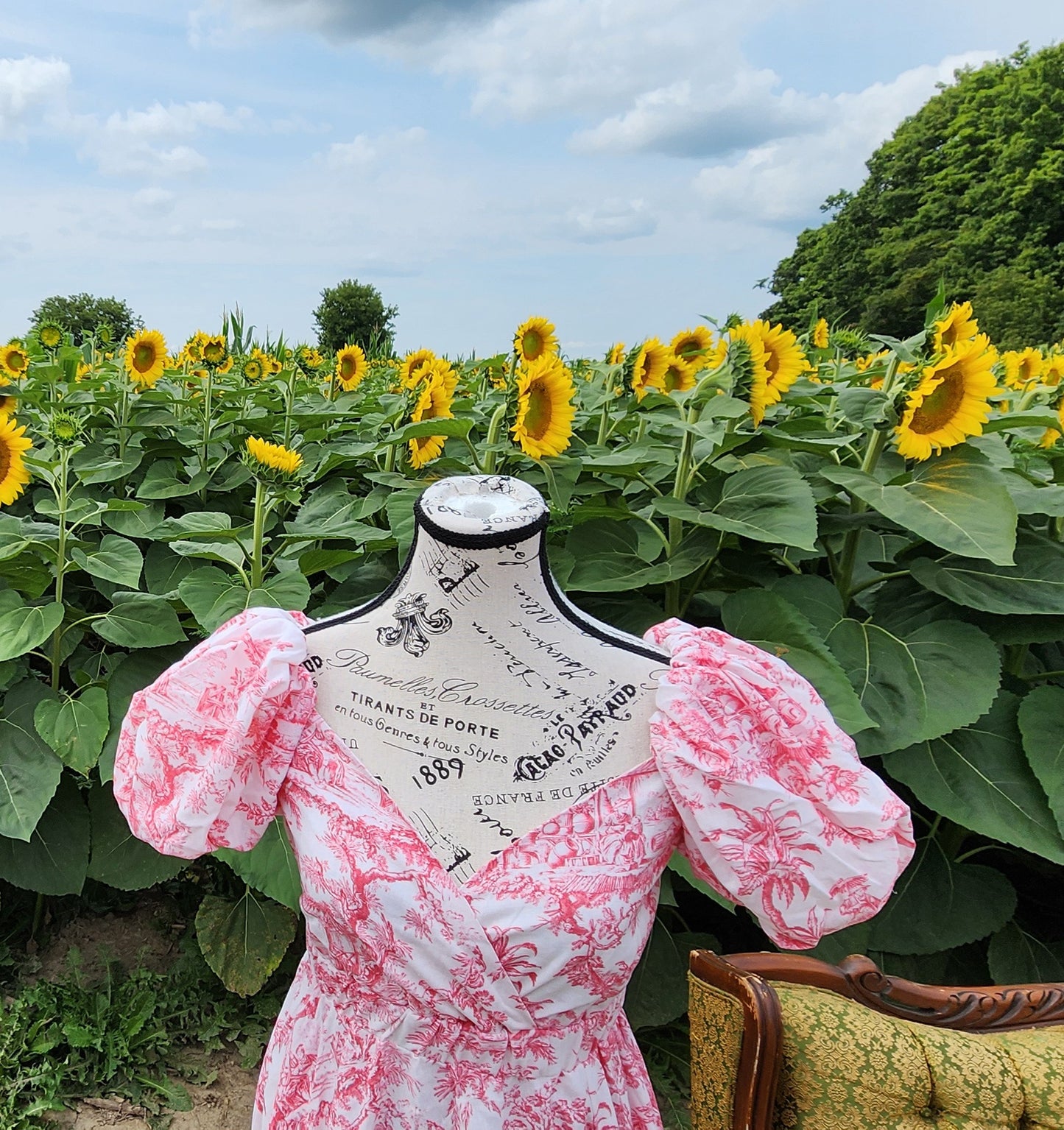x. Handsewn Scarlet Dress - Toile & Geometric Prints
