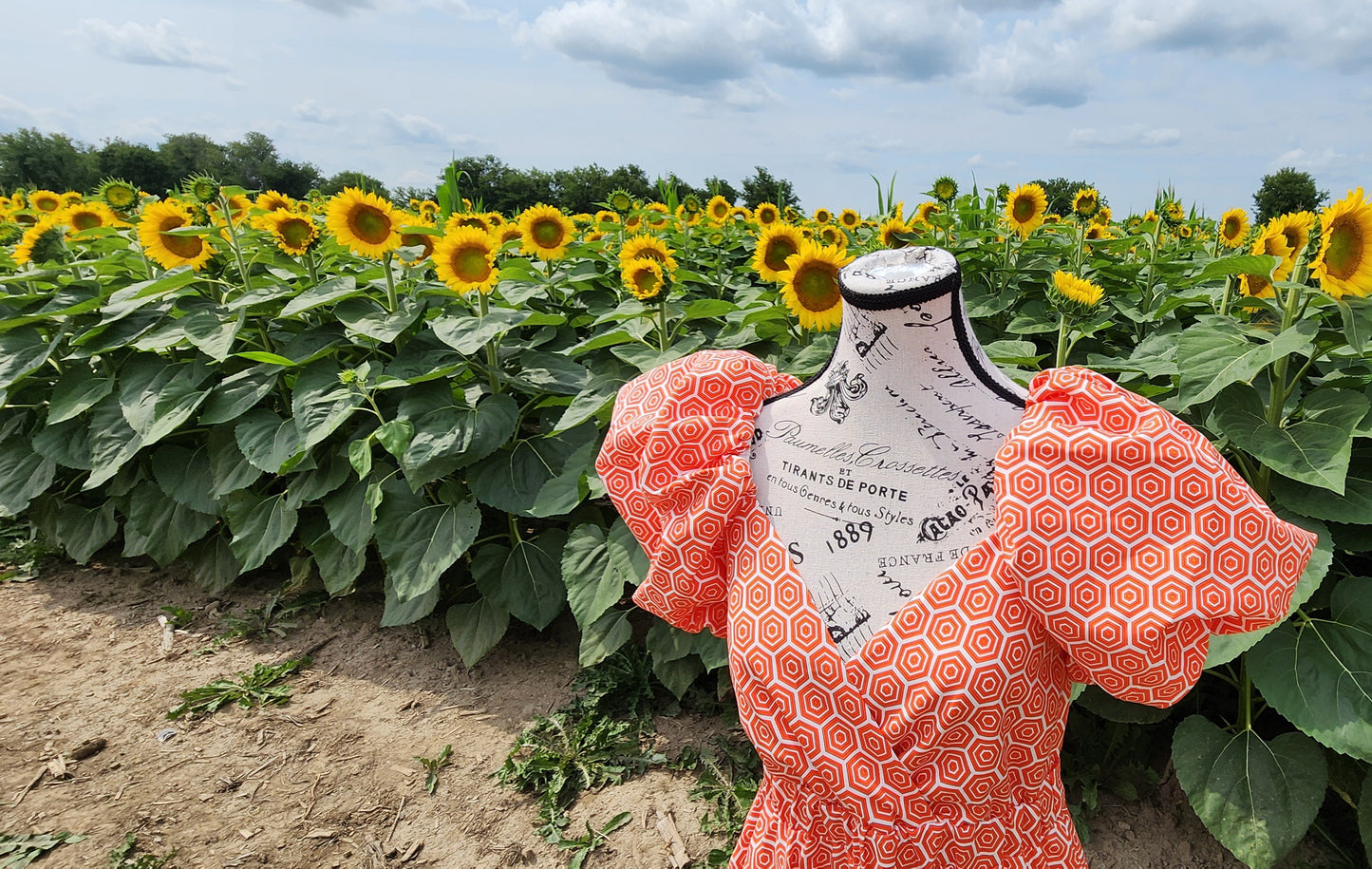 x. Handsewn Scarlet Dress - Toile & Geometric Prints